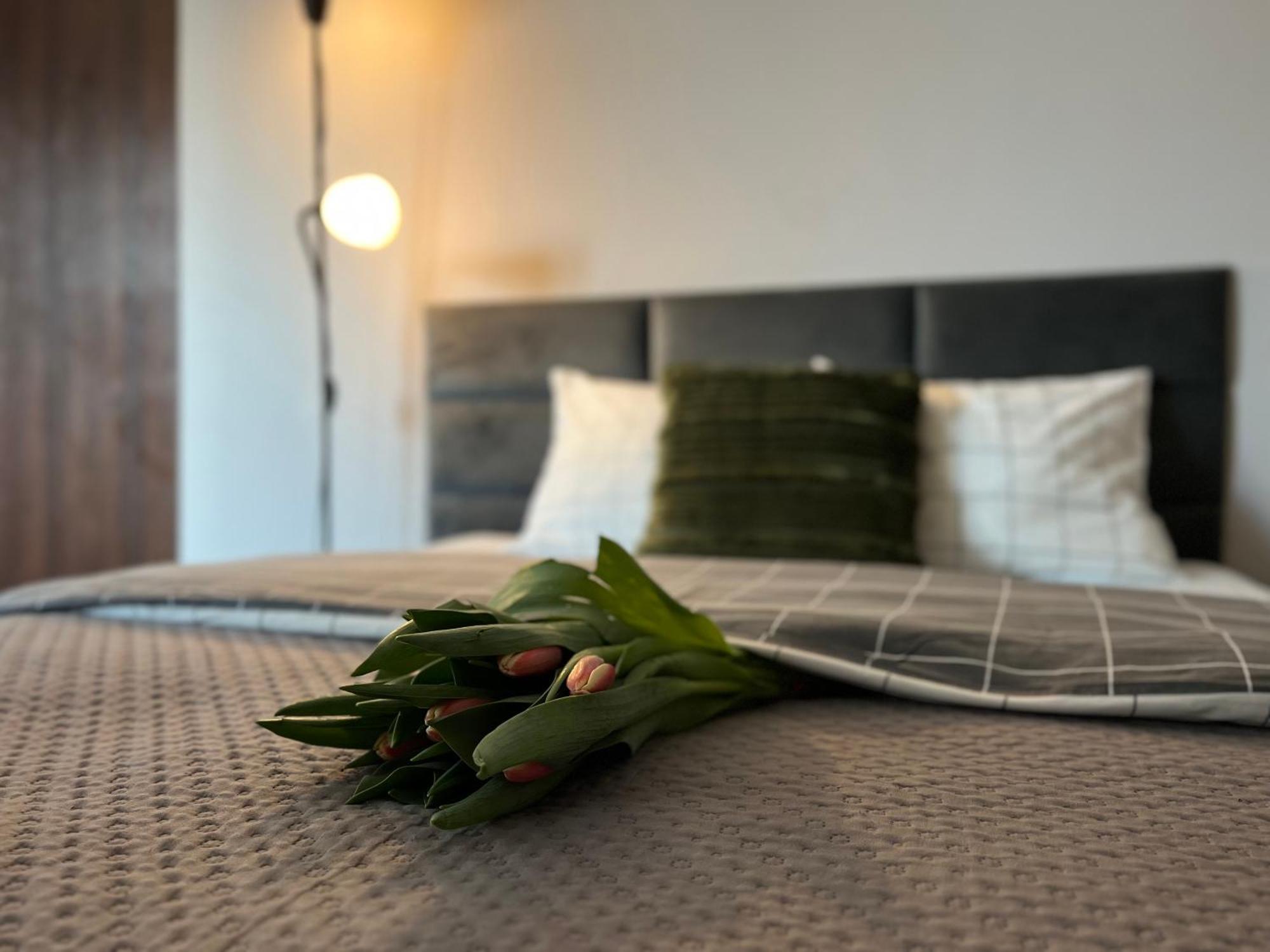 Parkcity Park Slaski Apartment
