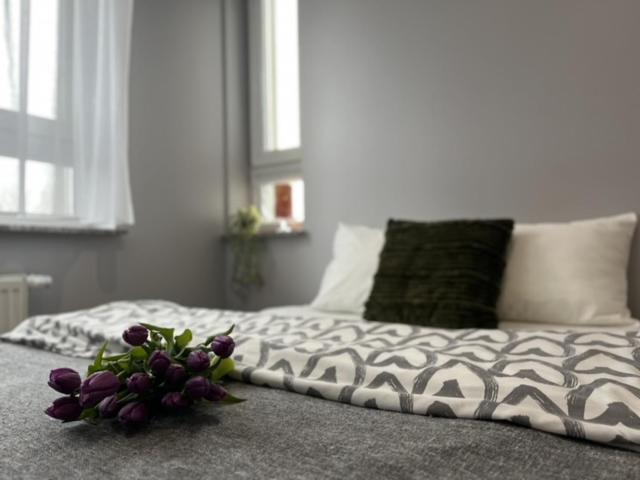 Apartment Parkcity Park Slaski *
